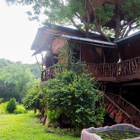 Anushka Nera Nature House Sigiriya Rom bilde