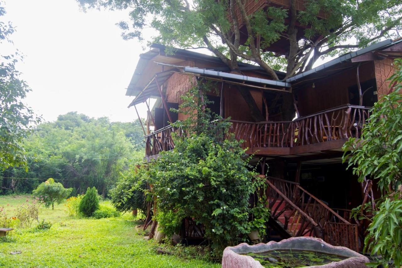 Anushka Nera Nature House Sigiriya Rom bilde