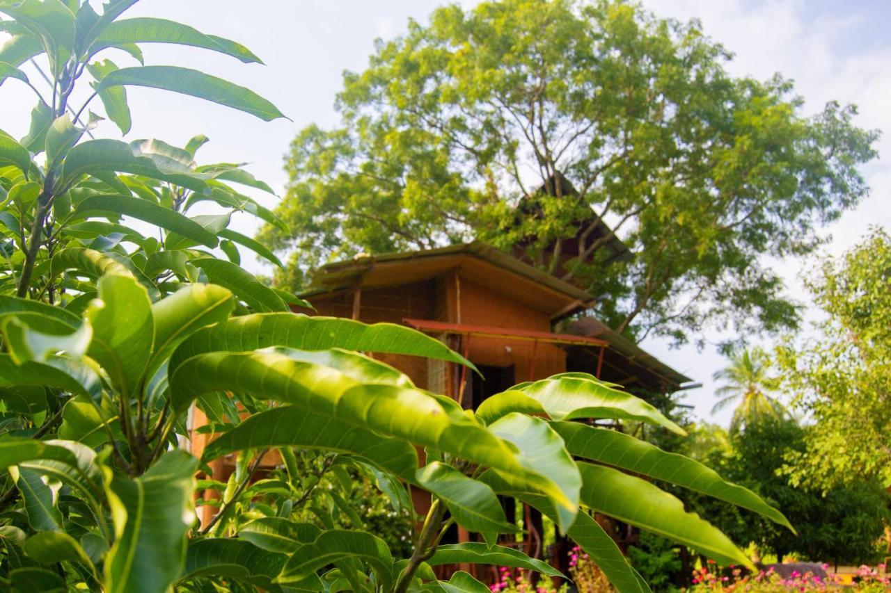 Anushka Nera Nature House Sigiriya Rom bilde