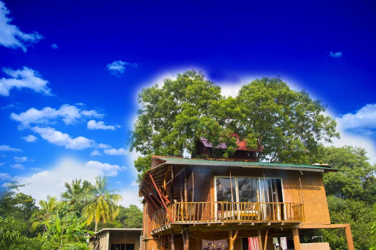 Anushka Nera Nature House Sigiriya Rom bilde