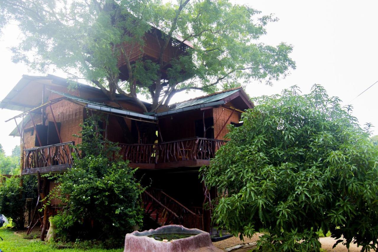 Anushka Nera Nature House Sigiriya Rom bilde